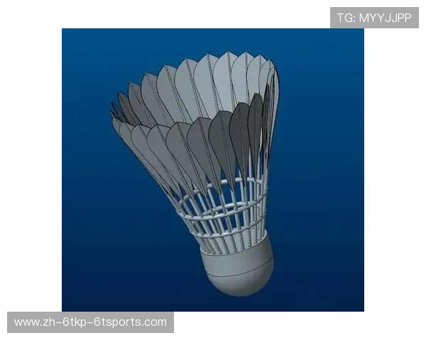 羽毛球旋转飘球6