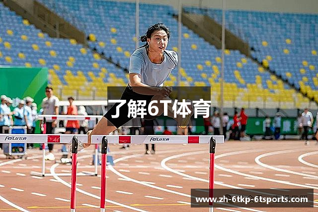 了解6T体育